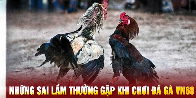 Đá Gà Vn68 – Hướng Dẫn Chi Tiết Và Những Sai Lầm Cần Tránh